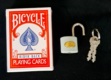 Preview: Puzzle Trickschloss - ein Verrücktmacher